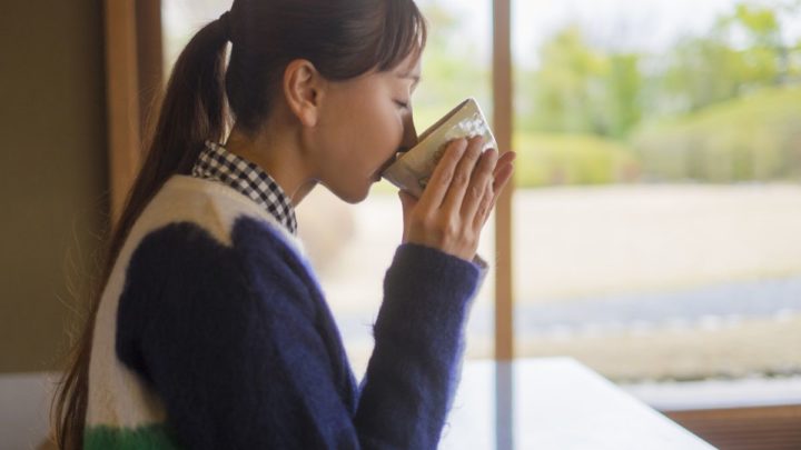 Pourquoi le thé matcha est-il si riche en antioxydants 

