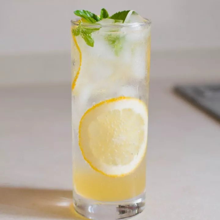 Limonade gazeuse maison au citron et a la menthe Limonade gazeuse maison au citron et à la menthe