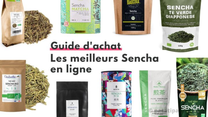 Guide dachat les meilleurs thes verts Sencha en ligne Guide d'achat, les meilleurs thés verts Sencha en ligne
