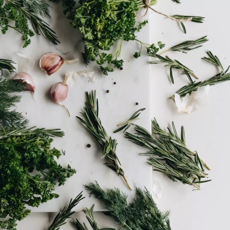 3 astuces pour conserver ses herbes aromatiques 2 fois plus longtemps