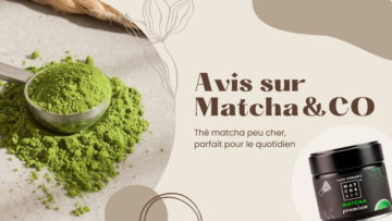 Avis Matcha & CO : Du thé matcha 100% naturel de Kyoto !